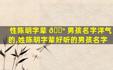 性陈明字辈 💮 男孩名字洋气的,姓陈明字辈好听的男孩名字